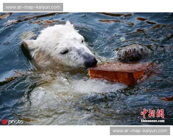 东方巨龙与北极熊的冰与火之歌：中国vs俄罗斯录像，一场跨越时空的博弈